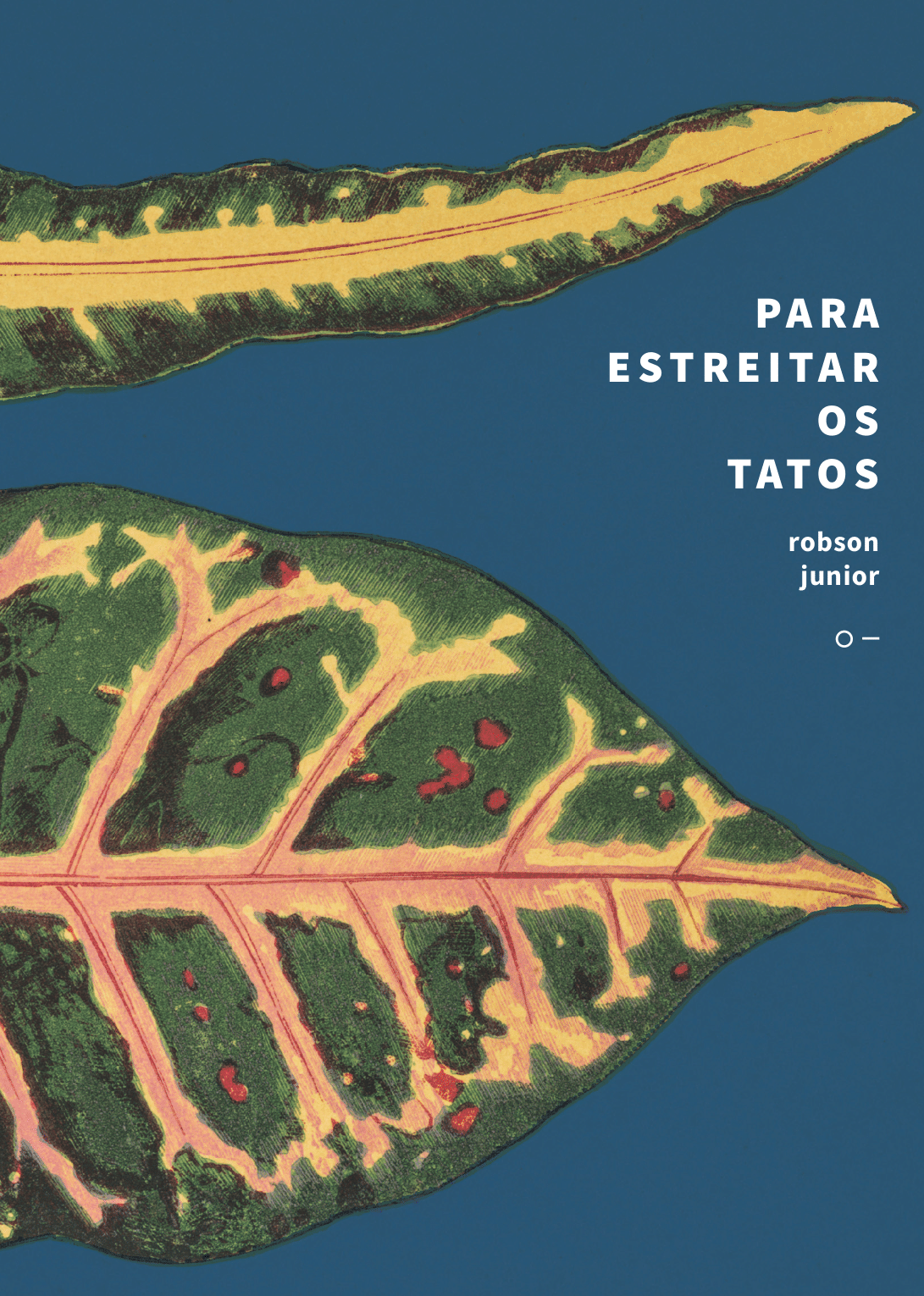 Arte da capa do livro Para estreitar os tatos, de Robson Junior.